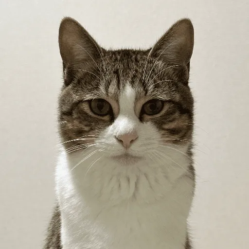 神田 彗佑 profile picture